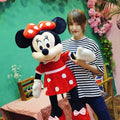 Mickey e Minnie de Pelucia
